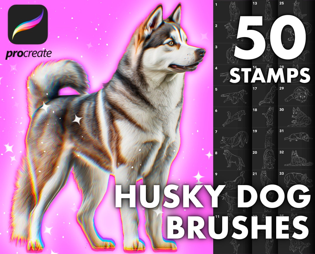 Procreate Dogs Stamp Brushes, Procreate Dog Poses Reference, Procreate