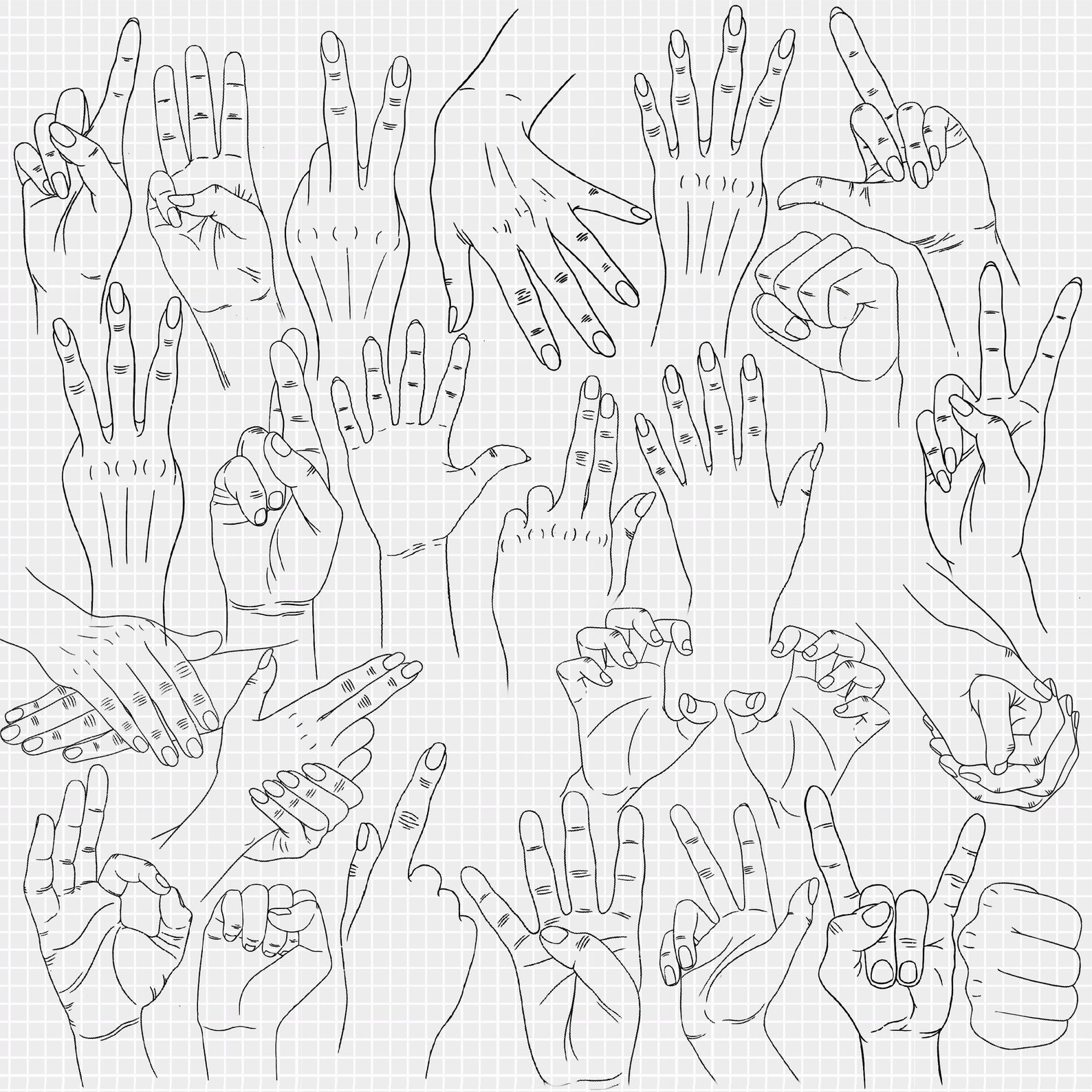 Procreate Hand Stamp Brushes. Hands Brushes. Procreate Hands Etsy
