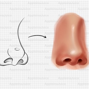 Procreate Nose Procreate Nose Brushes Stamps. Procreate Stamp. Procreate Noses Sketch ...