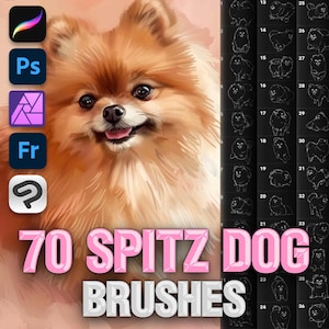Photoshop dog brushes. Photoshop animal brushes. Photoshop spitz dog brushes. Photoshop pet portrait brushes. Clip Studio dog animal brushes