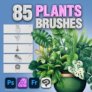 Photoshop plants brushes. Photoshop interior brushes. Photoshop potted plant brushes. Photoshop succulent flower stamps. Photoshop Botanical