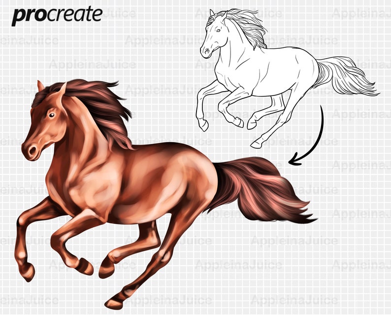 Procreate Horses Brushes. Procreate Horse Stamp Brush. Etsy