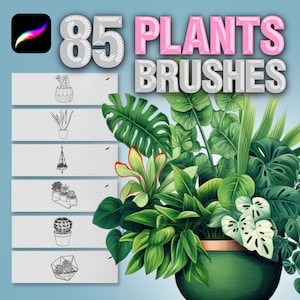Procreate plants brushes. Procreate interior brushes. Procreate potted plant brushes. Procreate succulent flower stamps. Procreate Botanical