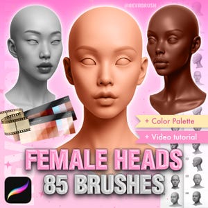 Procreate Female Head brushes. Procreate Face Guide brushes. Procreate Portrait stamps