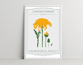 November Birth Month Flower, Chrysanthemum, A4 art print