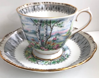 Può includere: Una tazza da tè e un piattino bianchi con un motivo floreale che presenta una betulla e una scena di lago. La tazza e il piattino hanno un bordo dorato.