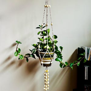 May include: A hanging plant in a decorative ceramic pot with a green and yellow design. The plant is suspended by a macrame hanger with cream-coloured beads. The plant has green leaves and is against a neutral wall.