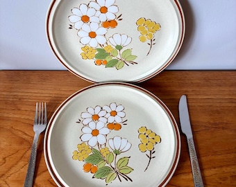 Floral Expressions by Hearthside Stoneware “Summertime” Dinner Płates PAIR, Made in Japan. 1970s