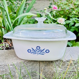 May include: A white casserole dish with a clear glass lid. The dish has a blue floral design on the front. The dish is sitting on a concrete surface, surrounded by green plants and flowers.