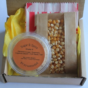 Kit de condimento gourmet de palomitas de maíz con delicioso condimento natural de azúcar y especias y granos de palomitas de maíz / Regalo personalizado