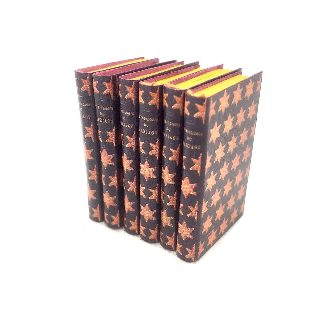 21 POLVEROSI VECCHI LIBRI Casa Delle Bambole In Miniatura Scala 1:12 - Foto 8