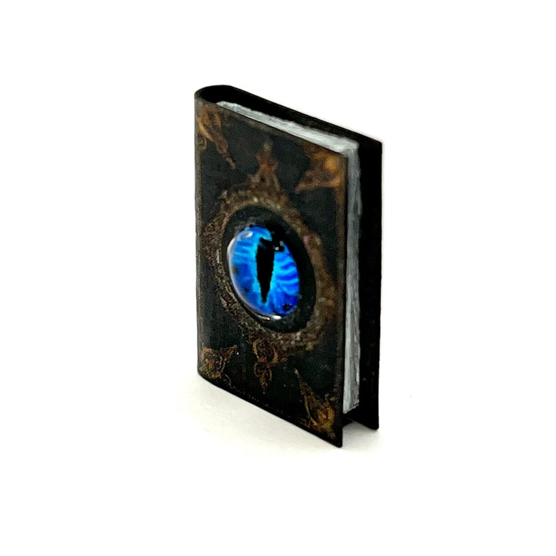 May include: A miniature, open book with a black cover and a large, blue eye design. The eye is oval-shaped with a dark pupil and surrounded by an ornate, gold-colored frame. The book's pages are white, and the cover has a textured appearance.