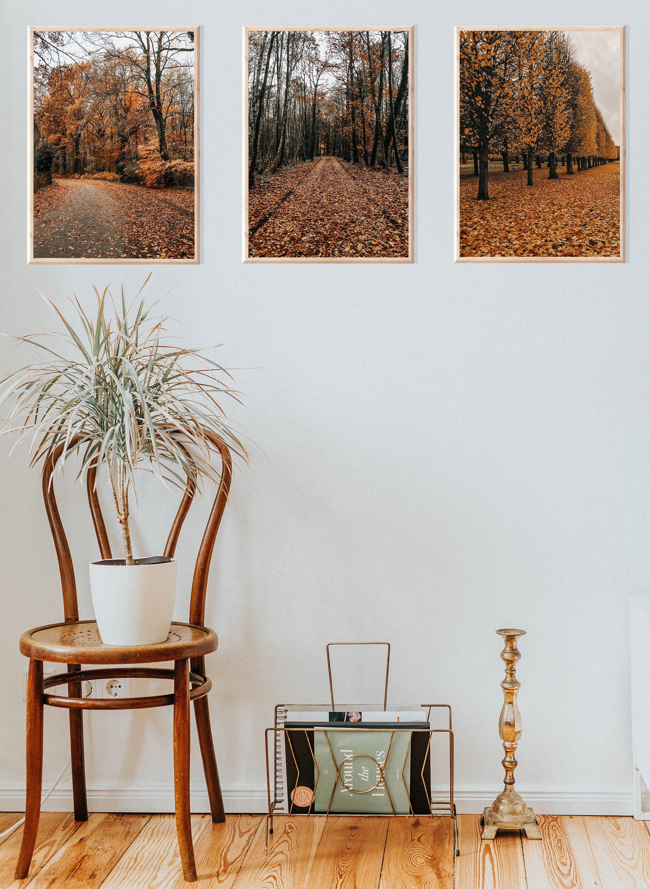 Fall wall decor set of 3 photo prints Autumn leaves wall art Etsy