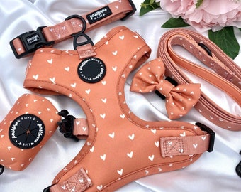 Dog Harness Set, Cute Harness and Leash, Collar Lead Matching Bundle, Small Soft Padded Adjustable, Puppy Walking Accessories, Cinnamon Boho