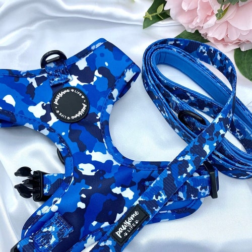 Personalized Dog Harness Set Cute Harness and Leash Puppy Etsy