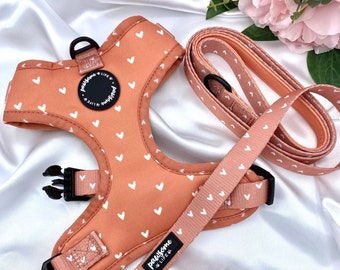 Pretty dog harnesses top