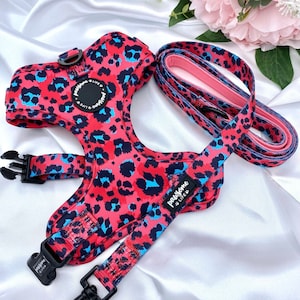 Dog Harness and Leash Set, Cute Leopard Girl Accessories, Birthday Gift For Dogs, Soft Padded Adjustable, Puppy Harness and Lead, No Pull
