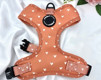 Cute Dog Harness Set, Orange Hearts Boho Accessories, Small Girl Harness, Soft Padded Puppy Chest Adjustable Harness, Designer No Pull