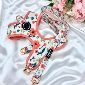 Dog Harness and Leash Set, Cute Floral Accessories, Birthday Gift For Dogs, Soft Padded Adjustable, Puppy Harness and Lead, Daisy Flower