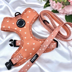 Dog Harness and Leash Set, Cute Hearts Accessories, Birthday Gift For Dogs, Soft Padded Adjustable, Puppy Harness and Lead, Orange Boho Girl