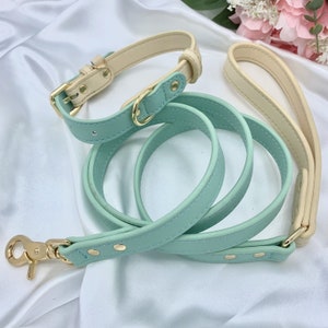 Green Leather Dog Collar and Leash Leather Collar Boy Dog Collar Leather Dog Leash Small Dog Collar Large Dog Collar Collar Leather