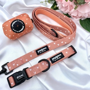 Dog Collar Set, Cute Collar and Leash, Lead Matching Bundle, Small Soft Padded Adjustable, Puppy Walking Accessories, Cinnamon Hearts Boho