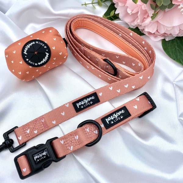 Conjunto de collar de perro, collar y correa lindos, paquete a juego de plomo, pequeño acolchado suave ajustable, accesorios para caminar de cachorros, corazones de canela Boho