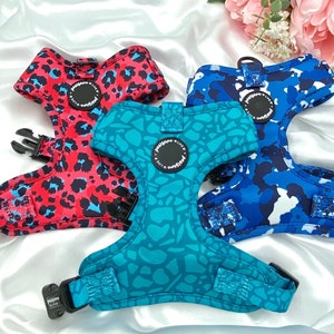 Cute Dog Harness Set, Bold Stylish Funky Accessories, Birthday Gift For Dogs, Soft Padded Puppy Chest Adjustable Harness, Designer No Pull