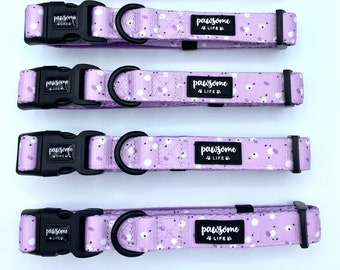 plain dog collars bulk