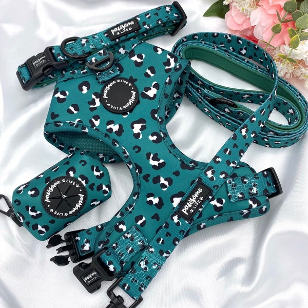 Dog Harness Set, Cute Harness and Leash, Collar Lead Matching Bundle, Small Soft Padded Adjustable, Puppy Walking Accessories, Leopard Green
