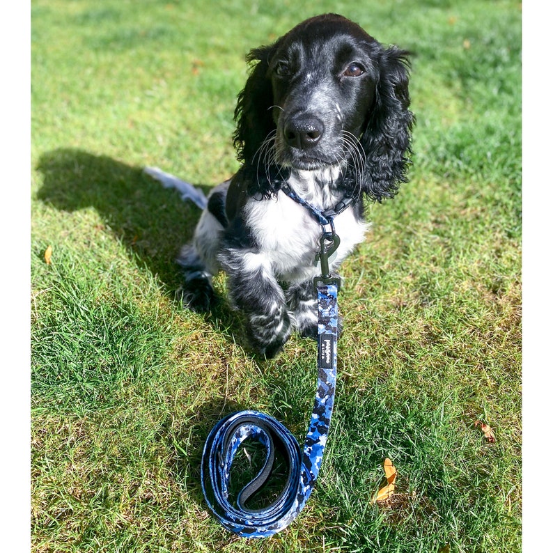 Dog Collar and Lead Set Camouflage Boy Dog Collar and Leash Etsy