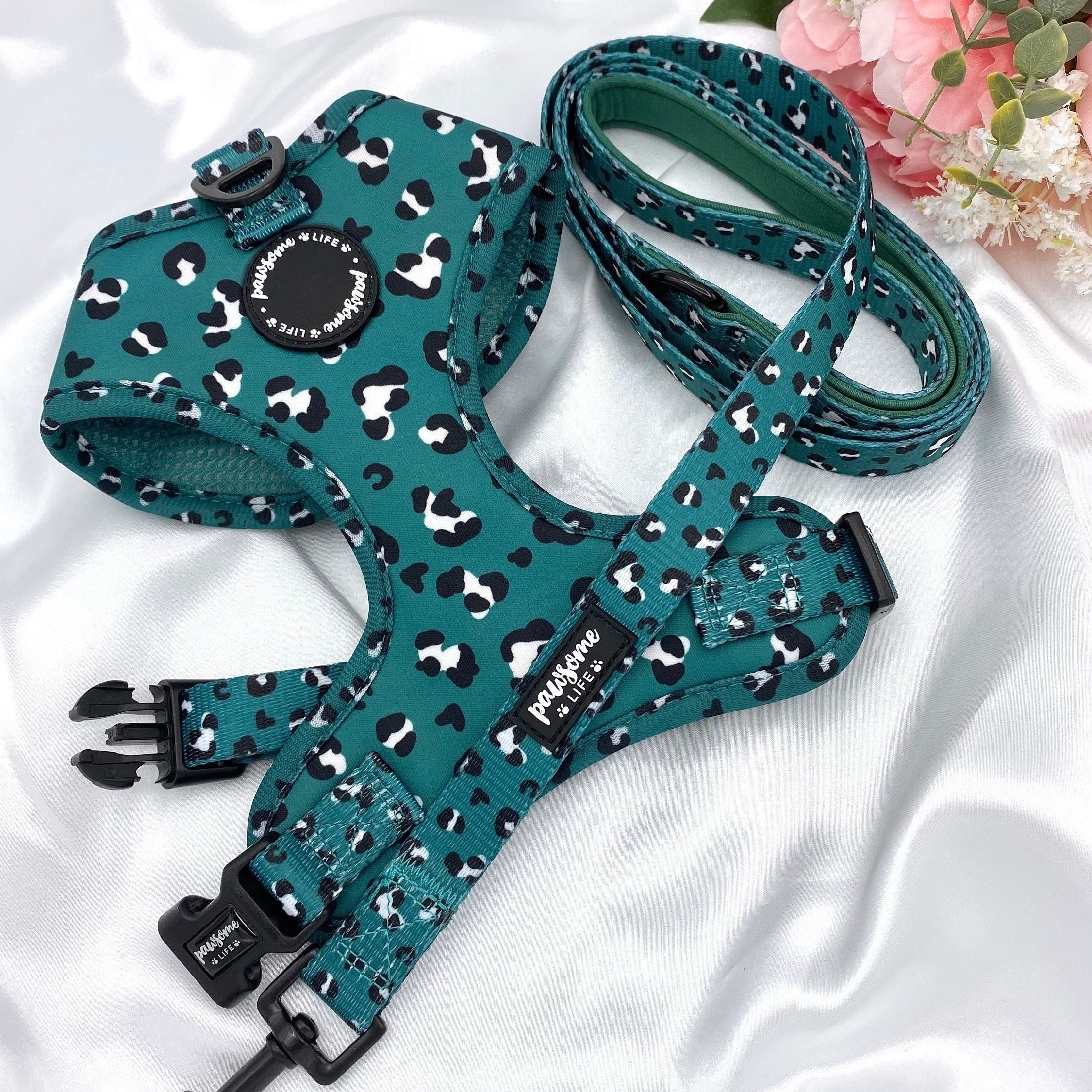 Dog Harness and Leash Set, Cute Leopard Accessories, Birthday Gift For Dogs, Soft Padded Adjustable, Puppy Harness and Lead, No Pull Chest