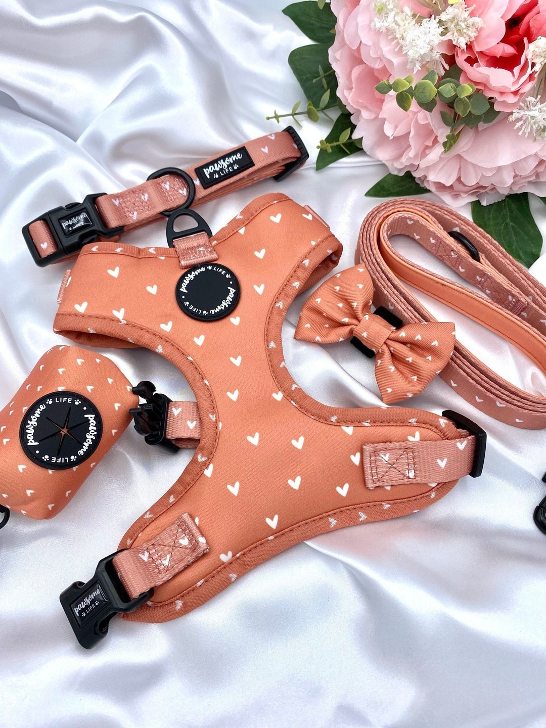 Dog Harness Set, Cute Harness and Leash, Collar Lead Matching Bundle