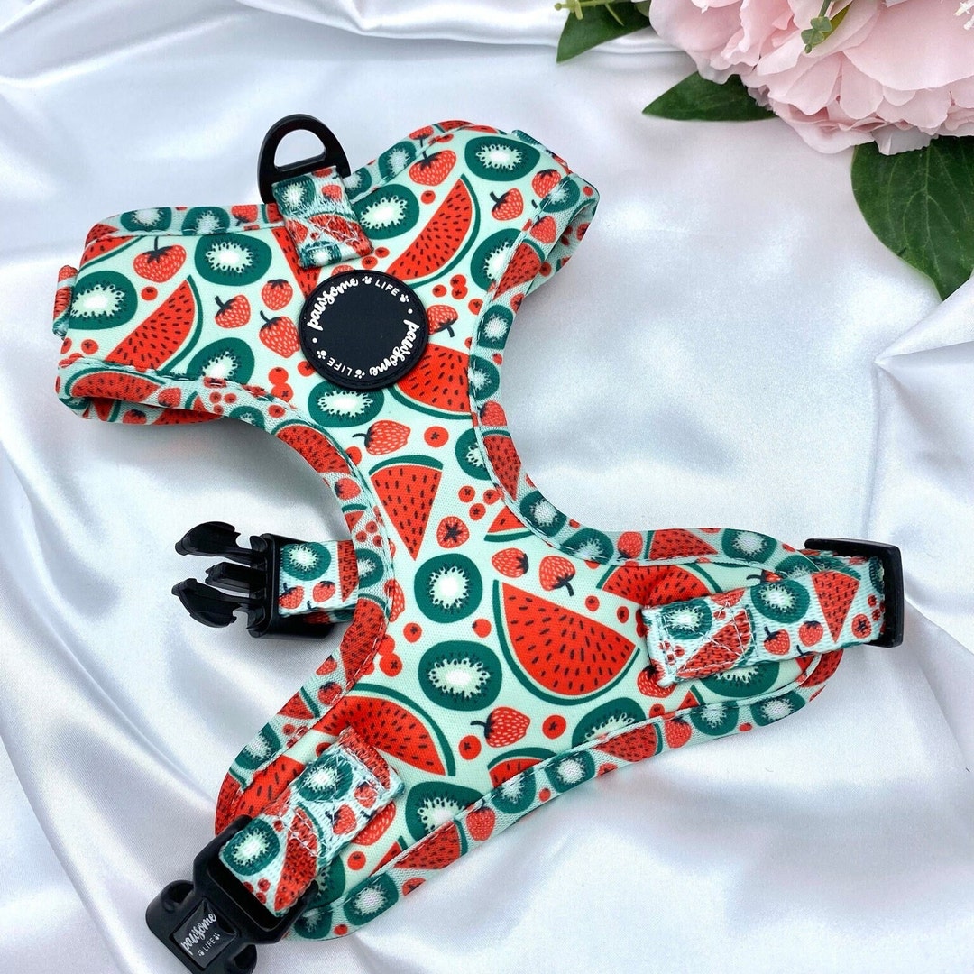 Cute Dog Harness Set, Watermelon Fruity Accessories, Birthday Gift for ...