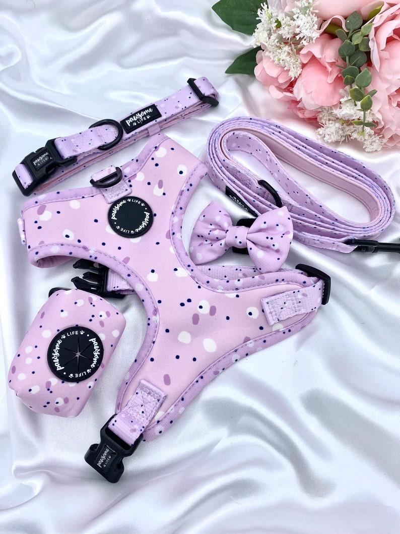 Lilac Dog Lead Cute Dog Leash Dog Collar and Lead Girl Dog Etsy UK