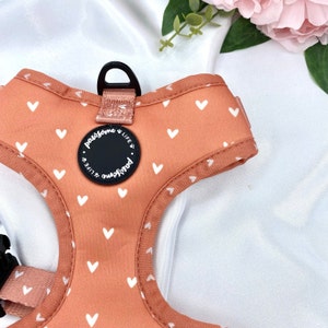 Cute Dog Harness Set, Orange Hearts Boho Accessories, Birthday Gift For Dogs, Soft Padded Puppy Chest Adjustable Harness, Designer No Pull