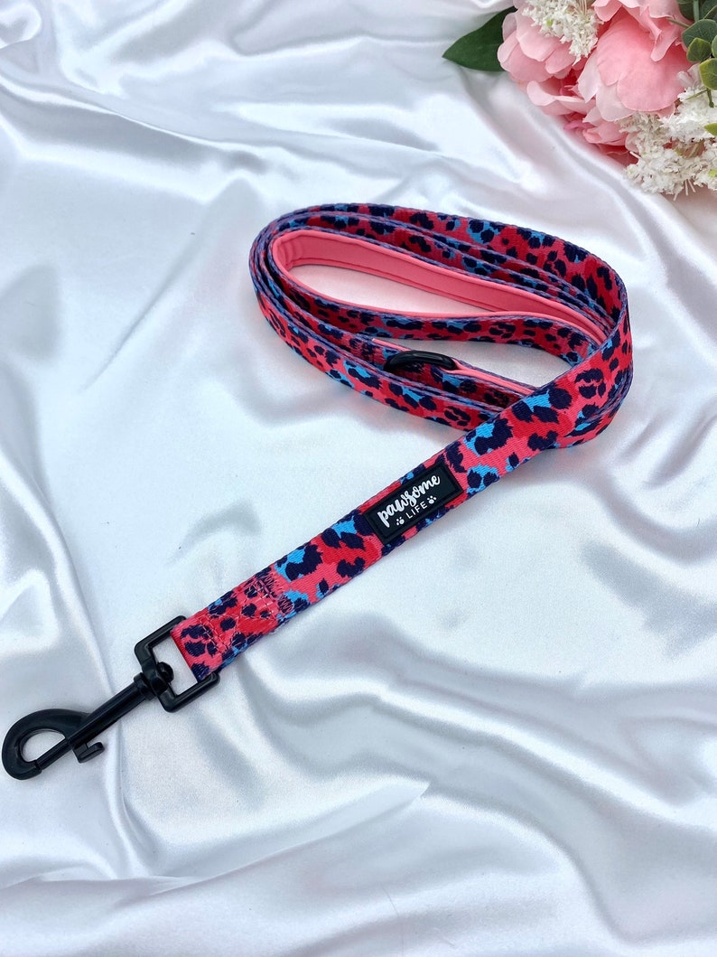 Dog Collar and Lead Set Leopard Dog Collar and Lead Girl Dog Etsy
