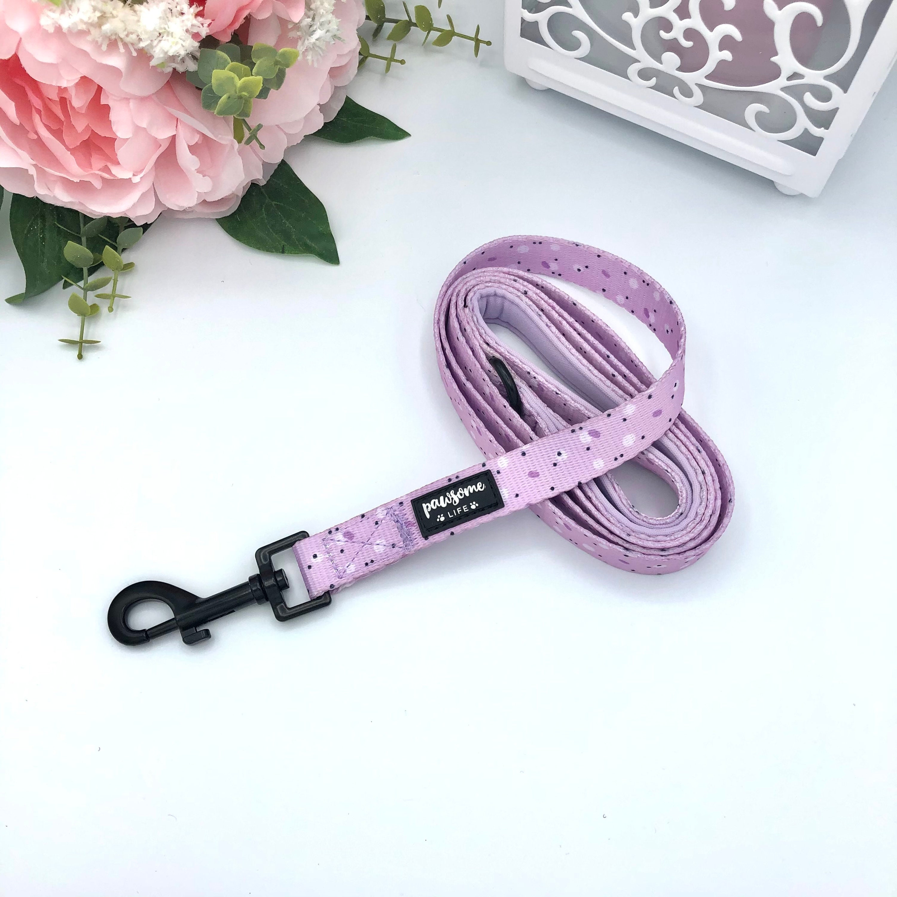 Dog Lead Cute Dog Leash Dog Collar and Lead Girl Dog Leash Etsy UK