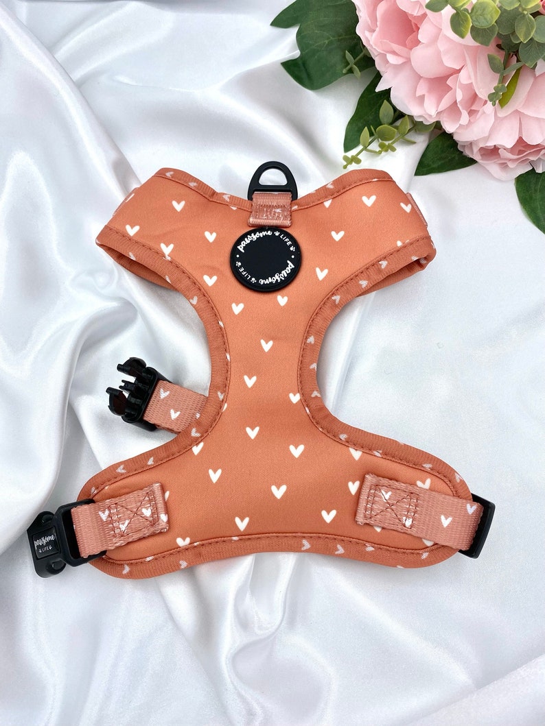 Dog Harness Set Dog Harness and Lead Set Puppy Harness and Etsy UK