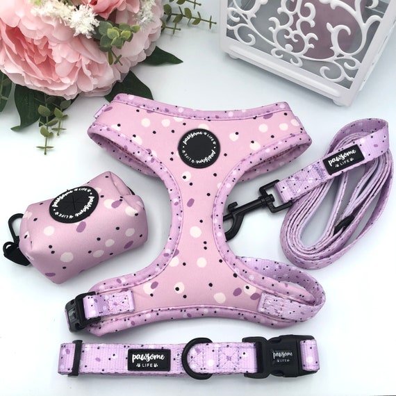 collar and harness set