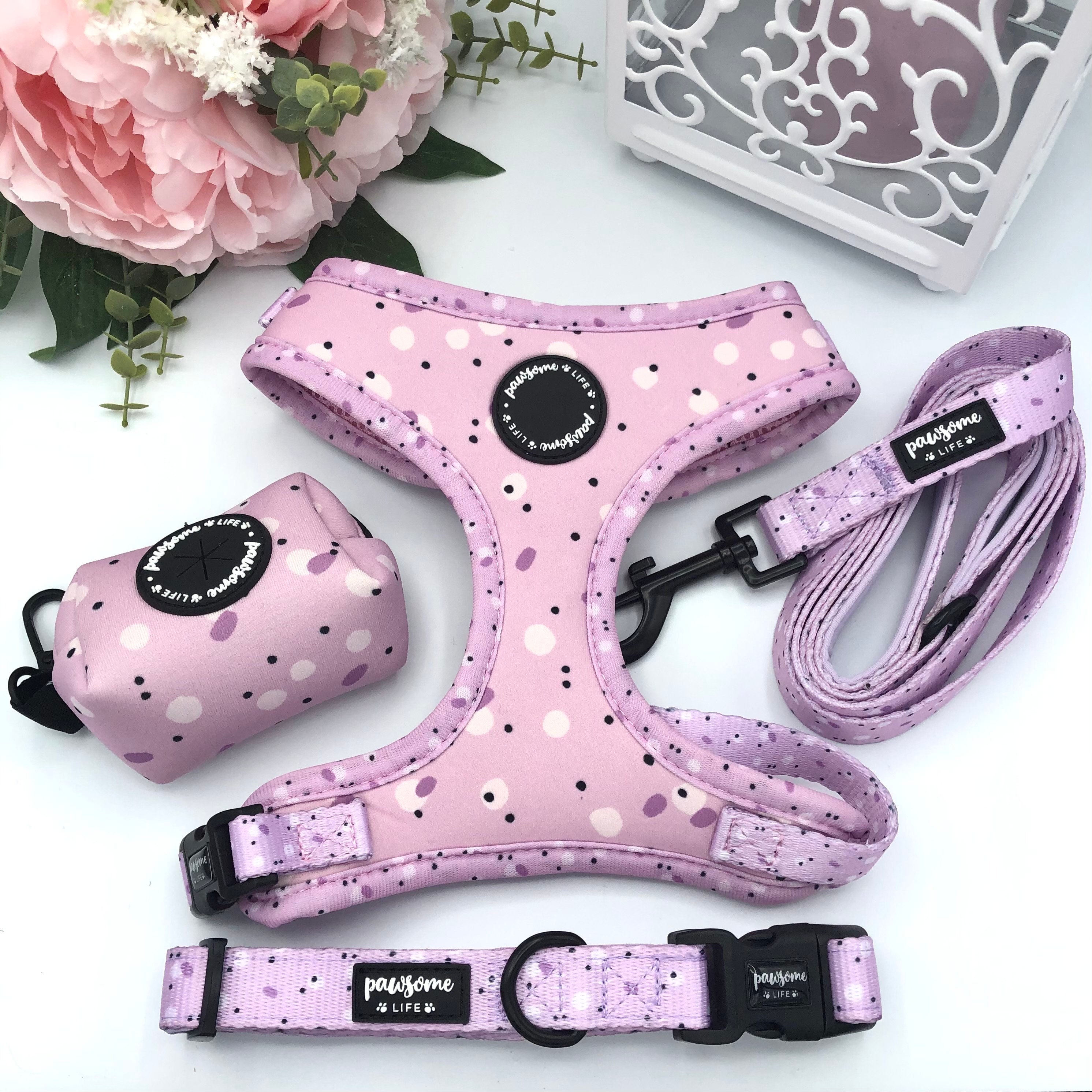 Dog Harness Dog Collar and Lead Set Dog Chest Harness Set Etsy Australia