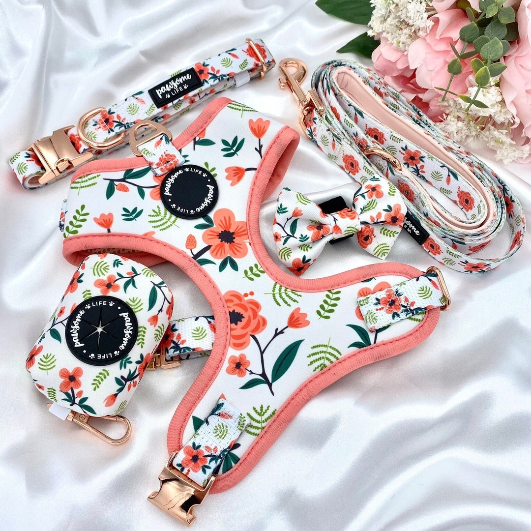 Floral Nylon Dog Harness Vest With Lead And Personalized Collar - Adjustable Padded