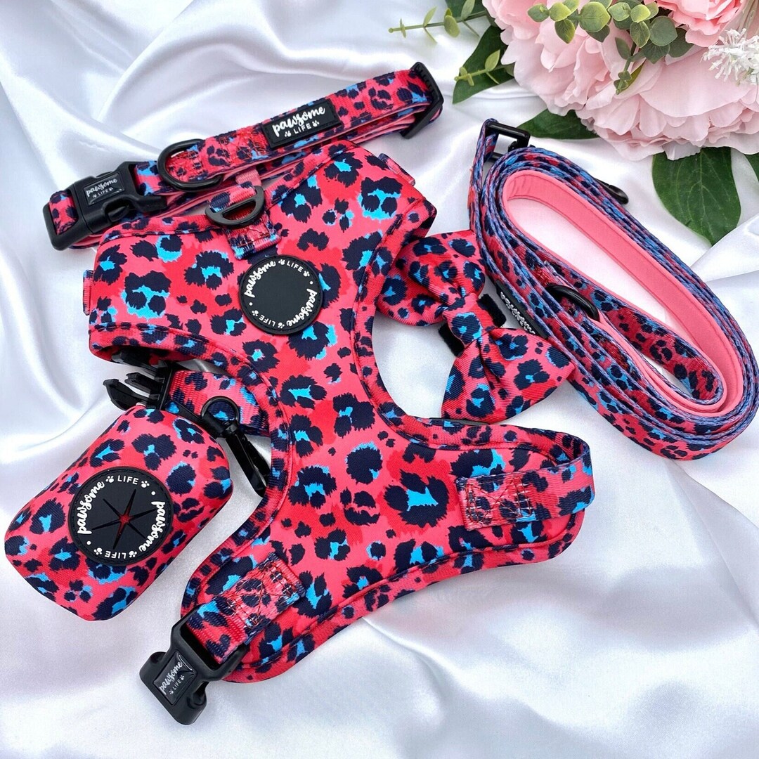 Dog Harness Set, Dog Harness and Lead Set, Puppy Harness and Lead, Pink