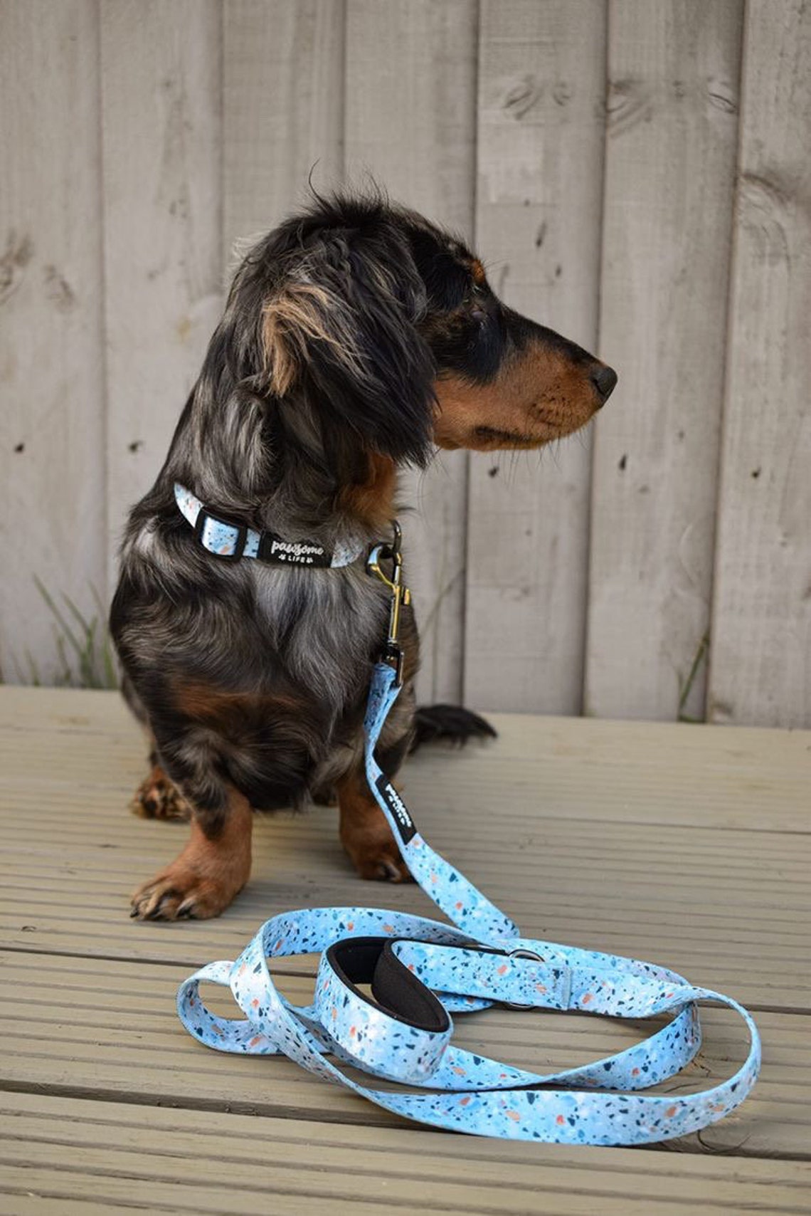 Dog Collar and Lead Set Terrazzo Dog Collar and Lead Girl Dog Etsy