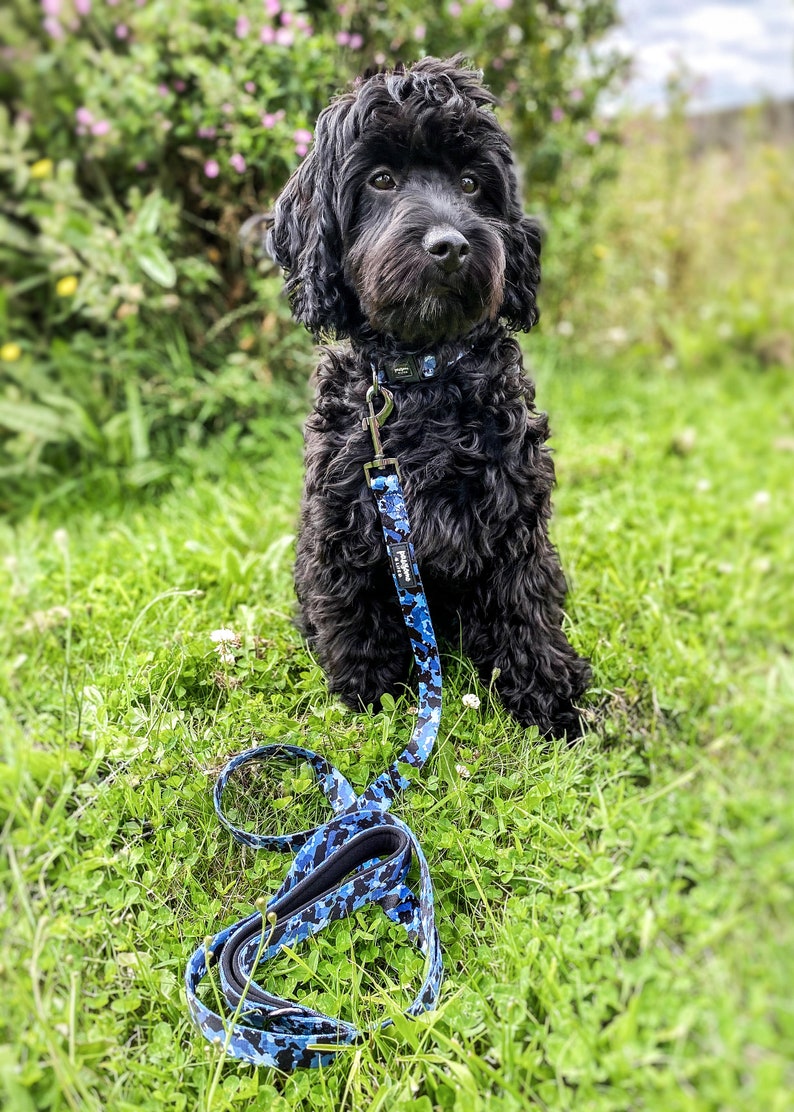 Dog Collar and Lead Set Camouflage Boy Dog Collar and Leash Etsy