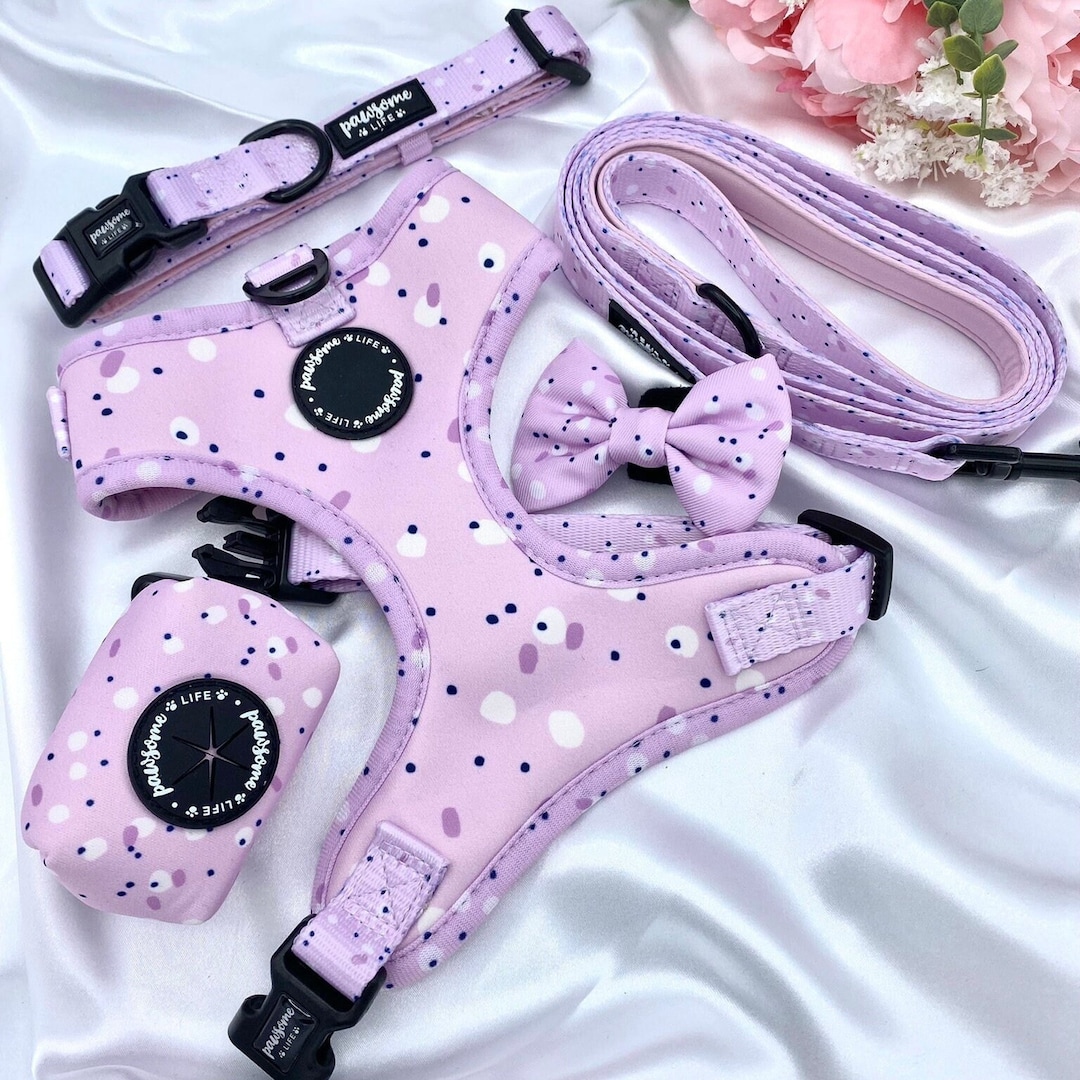 Dog Harness Set, Cute Harness and Leash, Collar Lead Matching Bundle