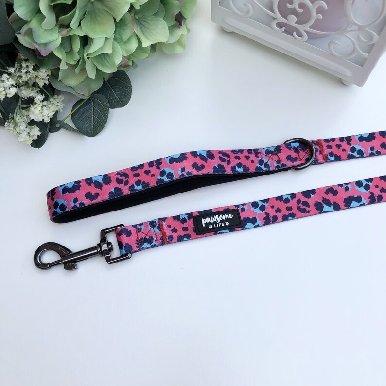 Dog Lead Cute Dog Leash Dog Collar and Lead Girl Dog Leash Etsy UK