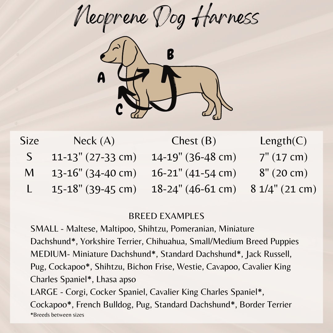 Dog Harness Set Dog Harness and Leash Set Puppy Harness and Etsy UK