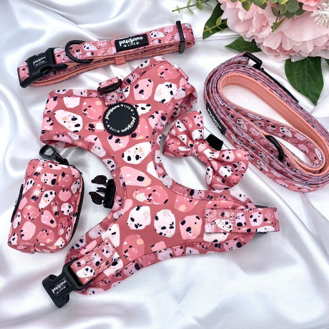 Dog Harness Set Dog Harness and Lead Set Puppy Harness and Etsy UK