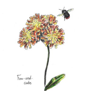 Wildflower original artwork
